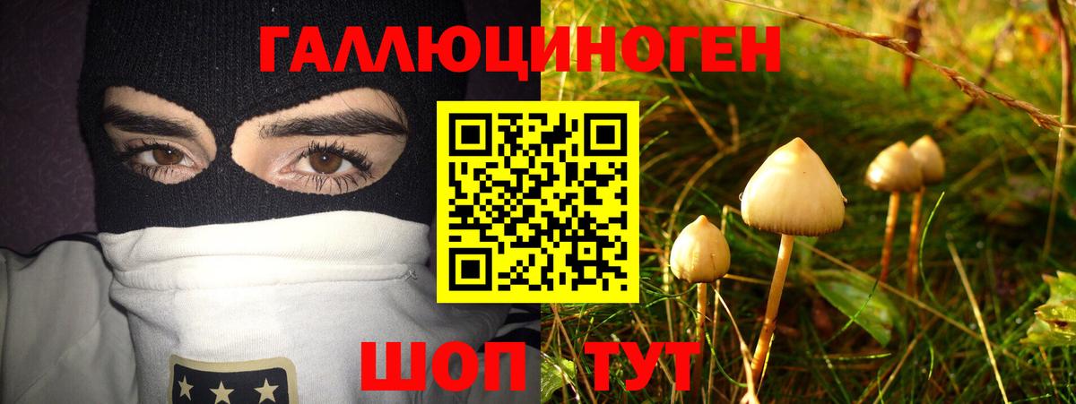 Галлюциногенные грибы GOLDEN TEACHER Кингисепп